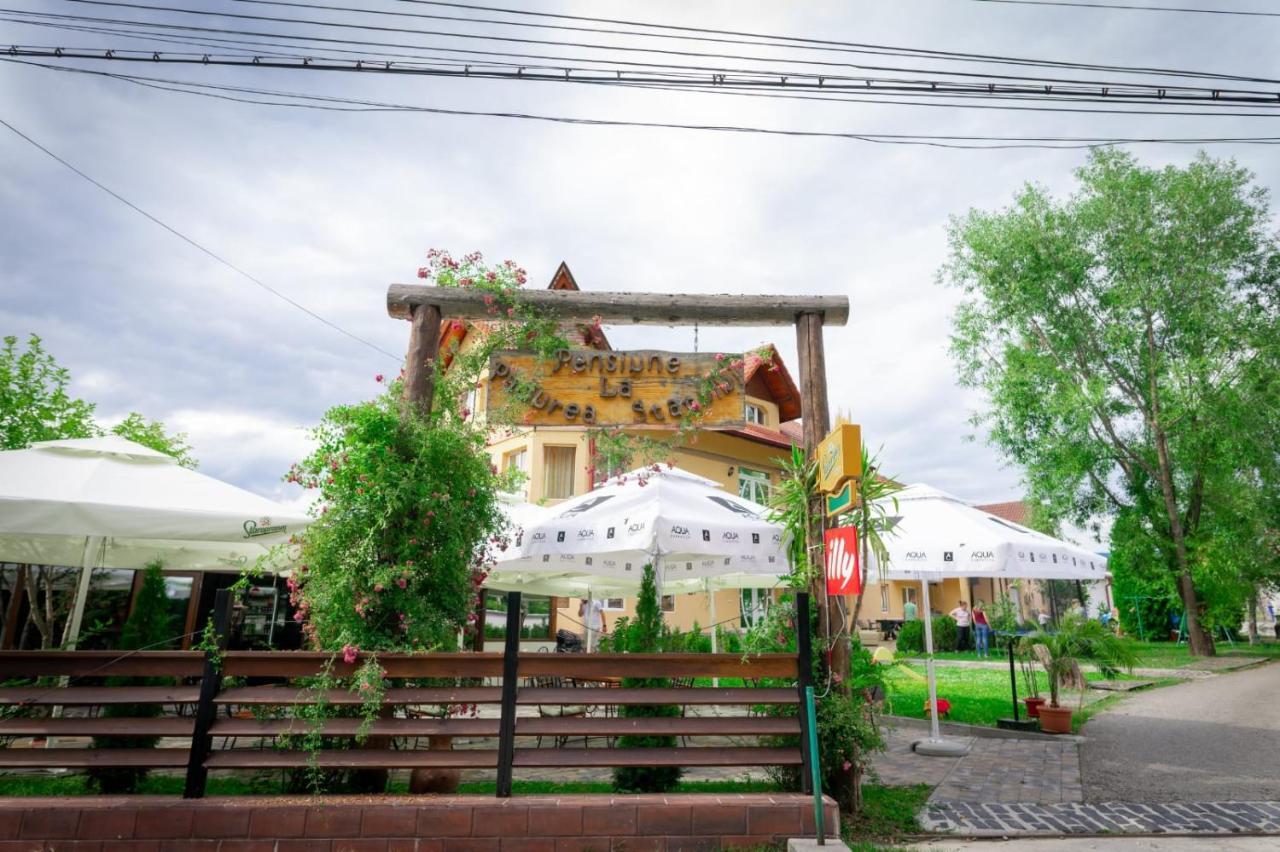 La Padure Pensiune-Restaurant Novaci-Străini 外观 照片